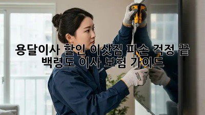 용달이사 할인: 이삿짐 파손 걱정 끝! 백령도 이사 보험 가이드