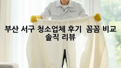 부산 서구 청소업체 후기 ✨ 꼼꼼 비교 & 솔직 리뷰